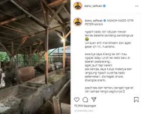 8 Potret Peternakan Jenita Janet, Kado Anti Mainstream dari Suami - Isinya Lebih dari 50 Ekor Sapi