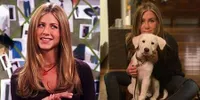 8 Potret Transformasi Pemeran Serial 'FRIENDS' Setelah 29 Tahun, Bondingnya Tetap Kuat!