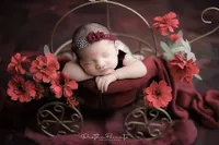 9 Photoshoot Perdana Anak Nella Kharisma dan Dory Harsa, Wajah Cantik Baby Gendhis Ramai Jadi Sorotan