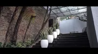 9 Potret Detail Halaman Rumah Momo Geisha, Mewah Kayak Resort - Taman Setinggi Lantai 2 Rumah Tetangga
