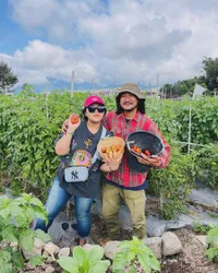 9 Potret Isa Bajaj Kelola Warung Tempong, Ngulek Sambal Sendiri Jadi Rahasia Kelezatan
