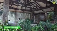 9 Potret Sudut Rumah Iwan Fals yang Luas Banget, Ada Makam Adik dan Anak - Panggung Konser Dengan Kapasitas 7000 Orang Penonton