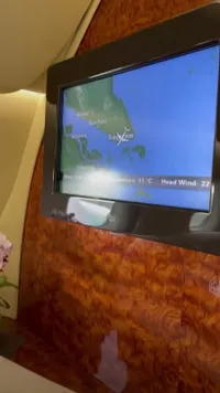 Bakal Lepas Rindu dengan Tetangga, 7 Potret Syahrini Mudik ke Tanah Air dari Singapura - Mesra Pangku-Pangkuan Sama Reino Barack di Pesawat Jet
