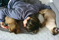 Bikin Iri Fans! 8 Foto Momen Menggemaskan Ten NCT Bersama Kucing Peliharaan, Beri Pelukan Sampai Ciuman Manja