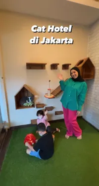 Bisnis Makin Berkembang, 7 Potret Hotel Kucing Milik Tya Ariestya - Suguhkan Fasilitas Lengkap Mulai Dari Playground Hingga Spa
