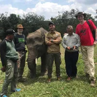 Chicco Jerikho Sempatkan Diri Ke Way Kambas Bertemu Para Gajah
