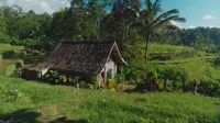 Cuplikan Video Musik no na di Sawah, Bawa Keindahan Alam Indonesia ke Dunia
