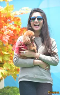Cute Banget! Anjing Nabila Syakieb Pakai Dress Cantik Fashionable