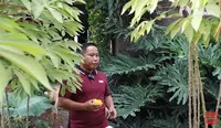 Dari Komedian Jadi Petani, Seperti Ini 15 Potret Kebun Sayur Narji yang Cukup Luas -  Senang Bisa Buka Lapangan Kerja