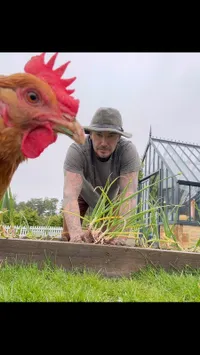 David Beckham Pamer Kesibukannya Berkebun usai Pensiun Jadi Pemain Bola
