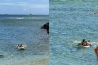 Dirumorkan Debut Unit Baru SEVENTEEN, 'Lovestagram' Mingyu dan S.Coups Liburan Bareng ke Hawaii