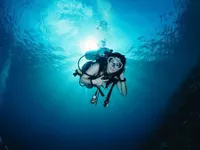 Disebut Si Duyung Cantik, Intip 7 Potret Terbaru Naysilla Mirdad Saat Diving - Nikmati Terumbu Karang dan Eksis Tangannya Sarangahe di Dalam Laut