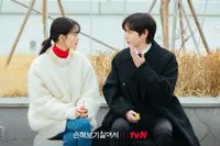 Drama Korea Tentang Kebencian yang Berubah Jadi Cinta karena Kerja Sama Berdua