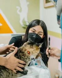 Dulu Mengaku Benci, Ini 7 Potret Ariel Tatum Saat Memberi Makan Kucing Liar - Kecantikannya Bikin Salfok