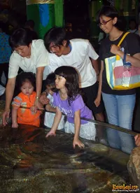 Duta SO7 di Sea World