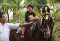 FOTO Bermain, Taimur Ali Khan Tertawa Gembira Naik Kuda  di Taman