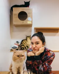 FOTO: Jalan-Jalan di Korea, Tatjana Saphira Mampir di Kafe Kucing