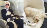 FOTO: Karl Lagerfeld Dibalik Karya & Kecintaannya pada Kucing