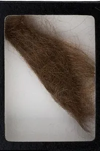 FOTO: Rambut John Lennon Dilelang, Harga Awalnya 10 Ribu Dollar! 