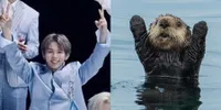 Gantengnya Gemesin, Ini 7 Potret Kemiripan Shotaro NCT dan Berang-berang Imut