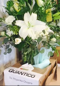 Go International, Jepretan Priyanka Chopra Bikin Kamu Iri Abis 