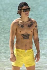 Harry Styles Pamer Tato Baru Di Queensland