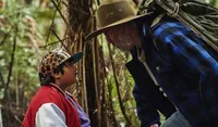 Ini Lho Daftar Film Terbaik Sepanjang 2016, Kamu Setuju?