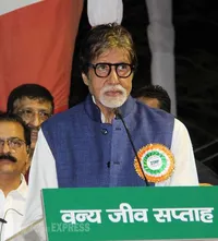 Jalan-Jalan ke Hutan, Amitabh Bachchan Dikejar Harimau Besar!