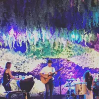 Wow, Jason Mraz Nyanyi Untuk Nikahan Keluarga Miliuner Indonesia