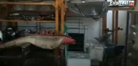 Jauh Dari Kata Mewah, Potret Rumah Daus Mini yang Sederhana dan Berantakan Banyak Barang