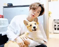 Jika Anjing Peliharaan EXO dan BTS Jadi Member Boyband, Siapakah Visualnya?