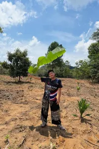 Jirayut Absen dari Panggung D'Academy 7, Ternyata 'Nanam' Sawit di Kampung Halaman