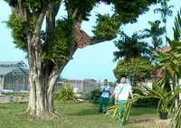 Junior Jadi Imam - Pesantren and Rock n Roll Episode 133