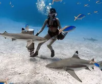 Kerap Telusuri Spot Menarik Alam, Intip 8 Potret Kirana Larasati Diving Bareng Ikan dan Terumbu Karang - Nikmati Keindahan Dasar Laut yang Memesona