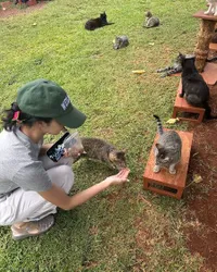 Keseruan Liburan Musim Panas Lisa BLACKPINK, Kasih Makan Kucing - Mendaki Bukit