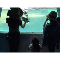 Kompak, Jennifer Bachdim - Jessica Iskandar Zoo Tour Bareng Anak
