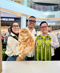 Kucing Peliharaan Astrid dan Uya Kuya Juara 1 di Lomba Feline Fancier Federation