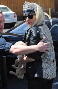 Lady GaGa Tandai Ulang Tahunnya Dengan Mahkota