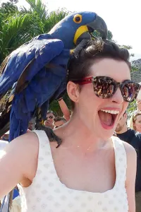 Libur Telah Tiba - Seleb Hollywood Ini Punya Momen Seru