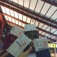 Mewah, Tamasya Marissa Nasution ke Jepang Bikin Mata Terbelalak