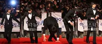 Momen Memalukan dan Bikin Ngakak di Red Carpet Ala Bintang Korea