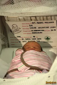 Melanie Ricardo Melahirkan Anak Pertamanya