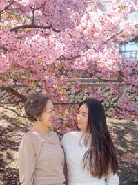 Natasha Wilona Liburan ke Jepang, Ajak Sang Ibu Lihat Sakura Bermekaran