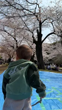 Nikita Willy Lihat Sakura di Jepang, Istiqomah Pakai Hijab