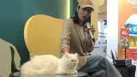 Perjuangan Tyas Mirasih Jadi Ibu 23 Kucing, Happy Meski Berat di Dompet