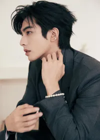 Pesona Song Weilong di Singapura, Sesempurna Lin Yushen