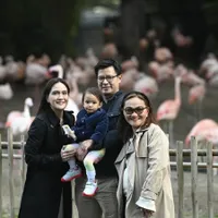 Potret Ibu Shandy Aulia Mendadak Bikin Netizen Khawatir, Tiba-Tiba Minta Maaf Karena Sudah Merepotkan