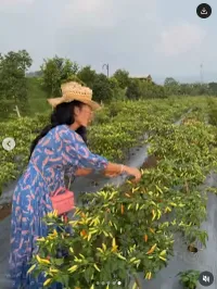 Potret Krisdayanti Berkebun, Kece Badai Kenakan Gaun dan Topi Sambil Asyik Petik Mawar