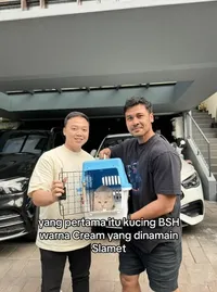 Potret Kucing Lucu Baru Milik Chicco Jericho dan Putri Marino, Namanya Jadi Sorotan Netizen