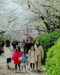 Potret Liburan Surya Insomnia & Keluarga ke Jepang, Kunjungi Taman Bermain - Nikmati Sakura yang Bermekaran
